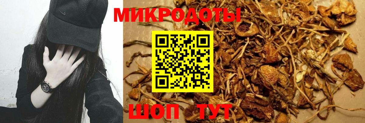 Магадан  Галлюциногенные грибы MAGIC MUSHROOMS  Вход с VPN 